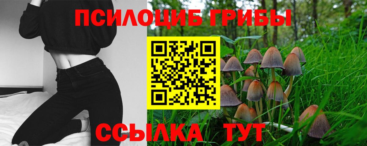 Cocaine Кисловодск