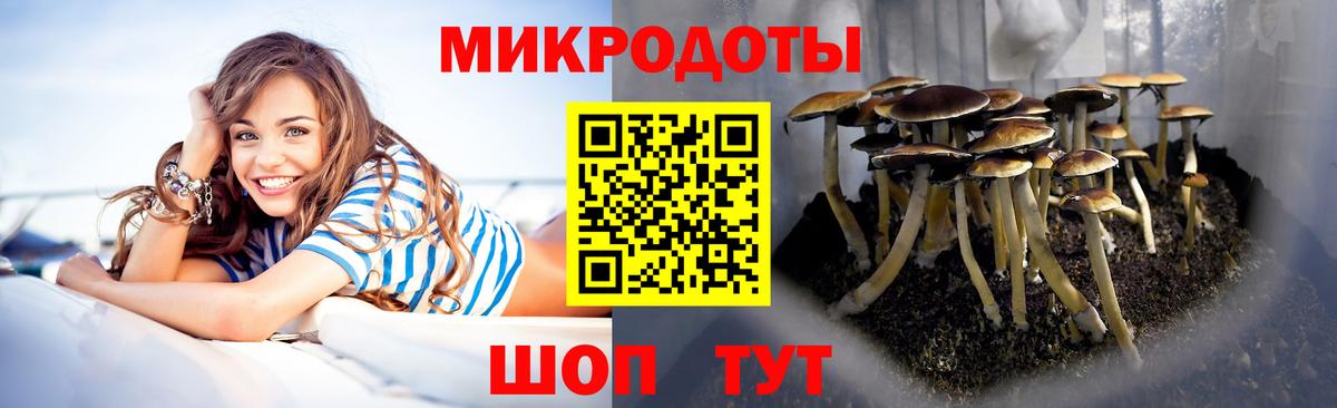 Галлюциногенные грибы MAGIC MUSHROOMS  Вход с VPN  Кисловодск  Галлюциногенные грибы Cubensis 