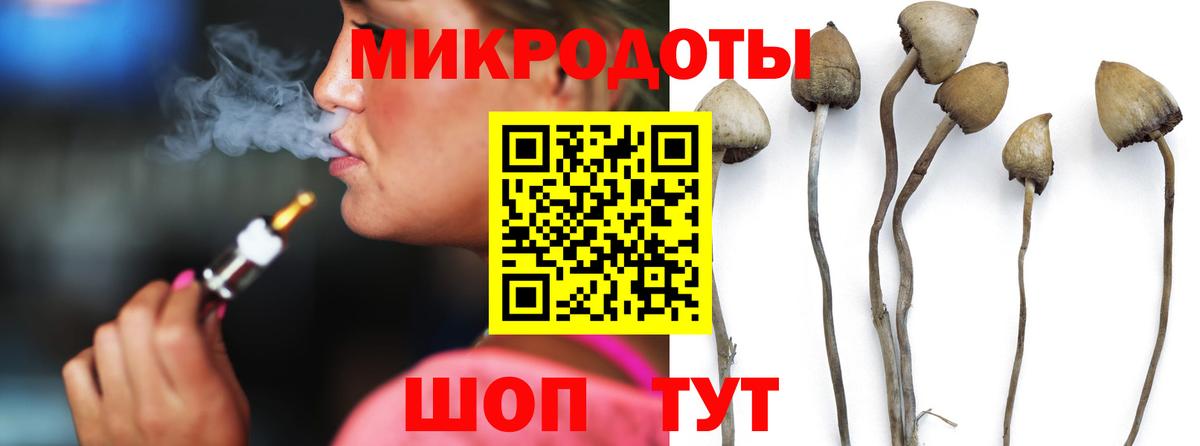 Галлюциногенные грибы Psilocybine cubensis Кисловодск
